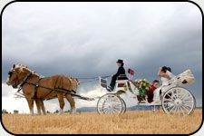 Wedding Resources Image